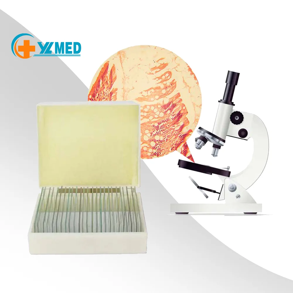 medical science Prepared Glass Microscope Slides for Student science research for human histology slides