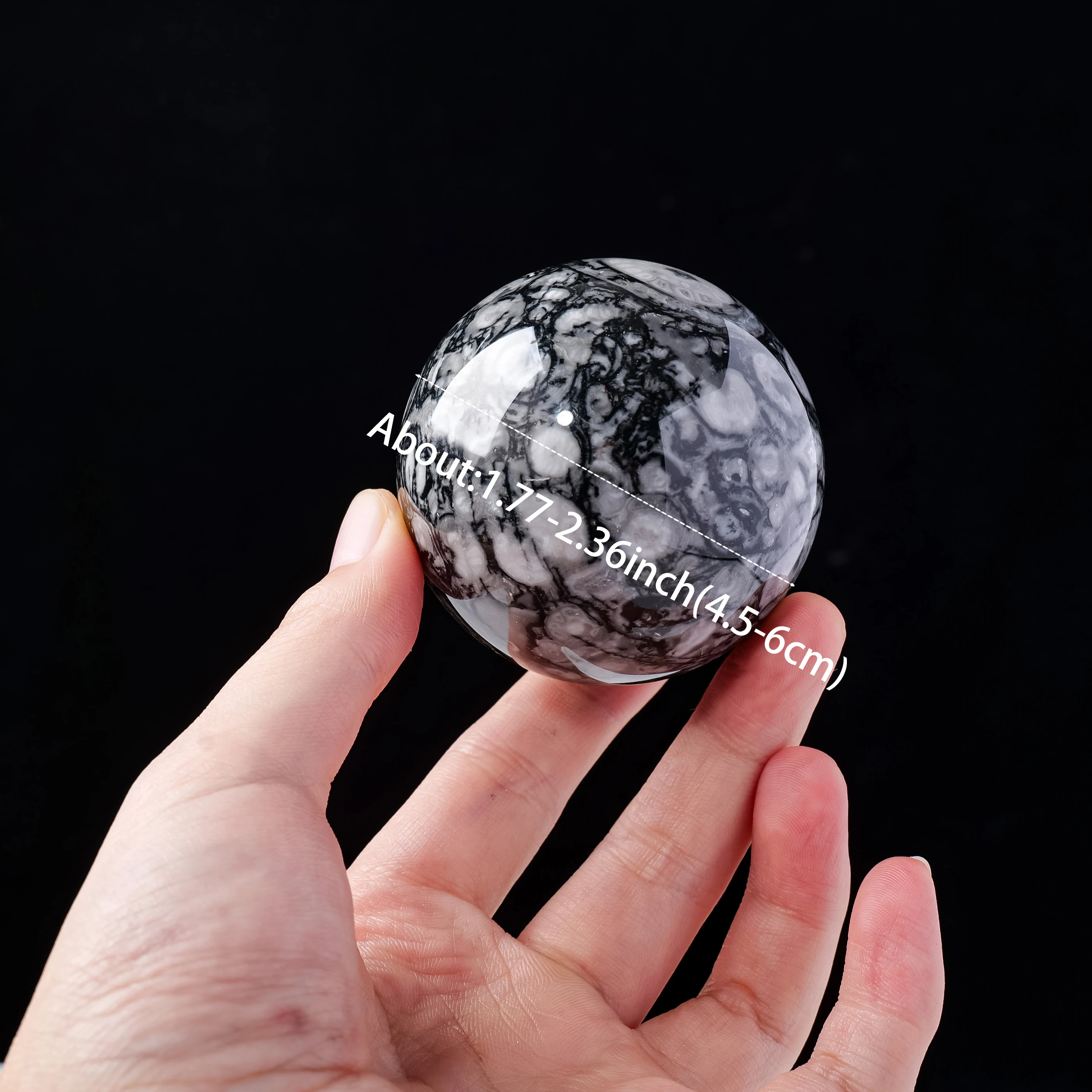 Wholesale Natural Healing Crystal Ball Polished Orthoceras Fossil Sphere For Souvenir Gift