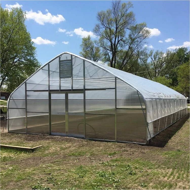 Zambia Low Cost Greenhouse 30 X 100 Greenhouse Modern Greenhouse For Vegetables