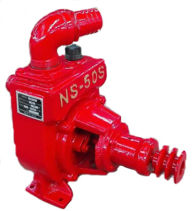 Chile market clockwise turn self priming pump with big size pulley