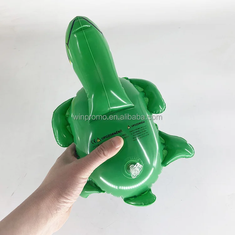 inflatable turtle (3).JPG