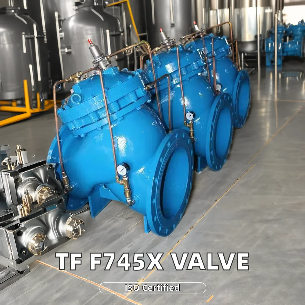 DY30AX-16C Check valve