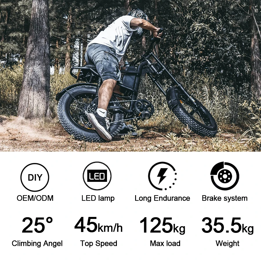 EU склад Электрический Fatbike Roadbike велосипед V20 E Bike 250W Двухместный электровелосипед