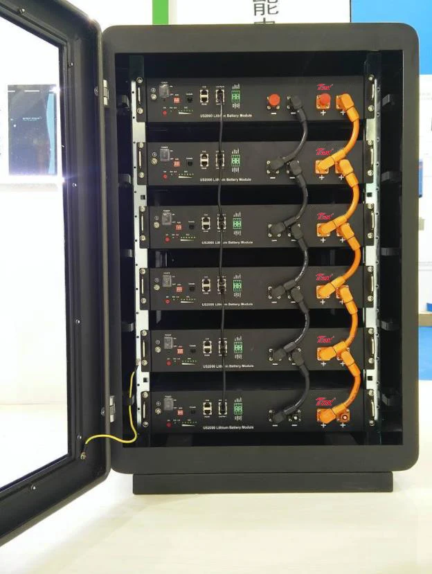 LiFePO4 lithium ion Solar battery 48V 51.2V Energy Storage Rack Mounted 50AH for Solar System