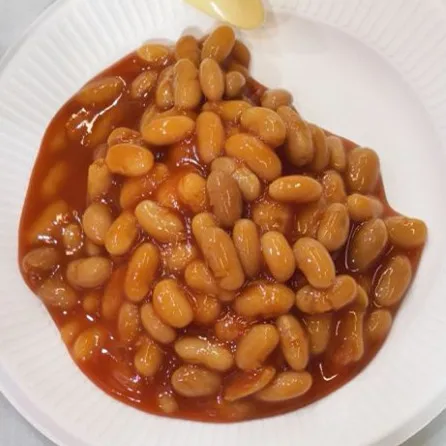 Canned Baked White Beans In Tomato Sauce Or Brine 425g*24