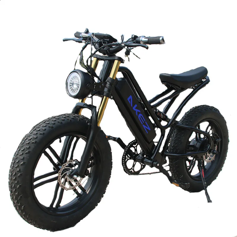 2024 48V 17.5ah Lithium Battery Super Model FISH HAWK E-bike mountain Electric Bicycle