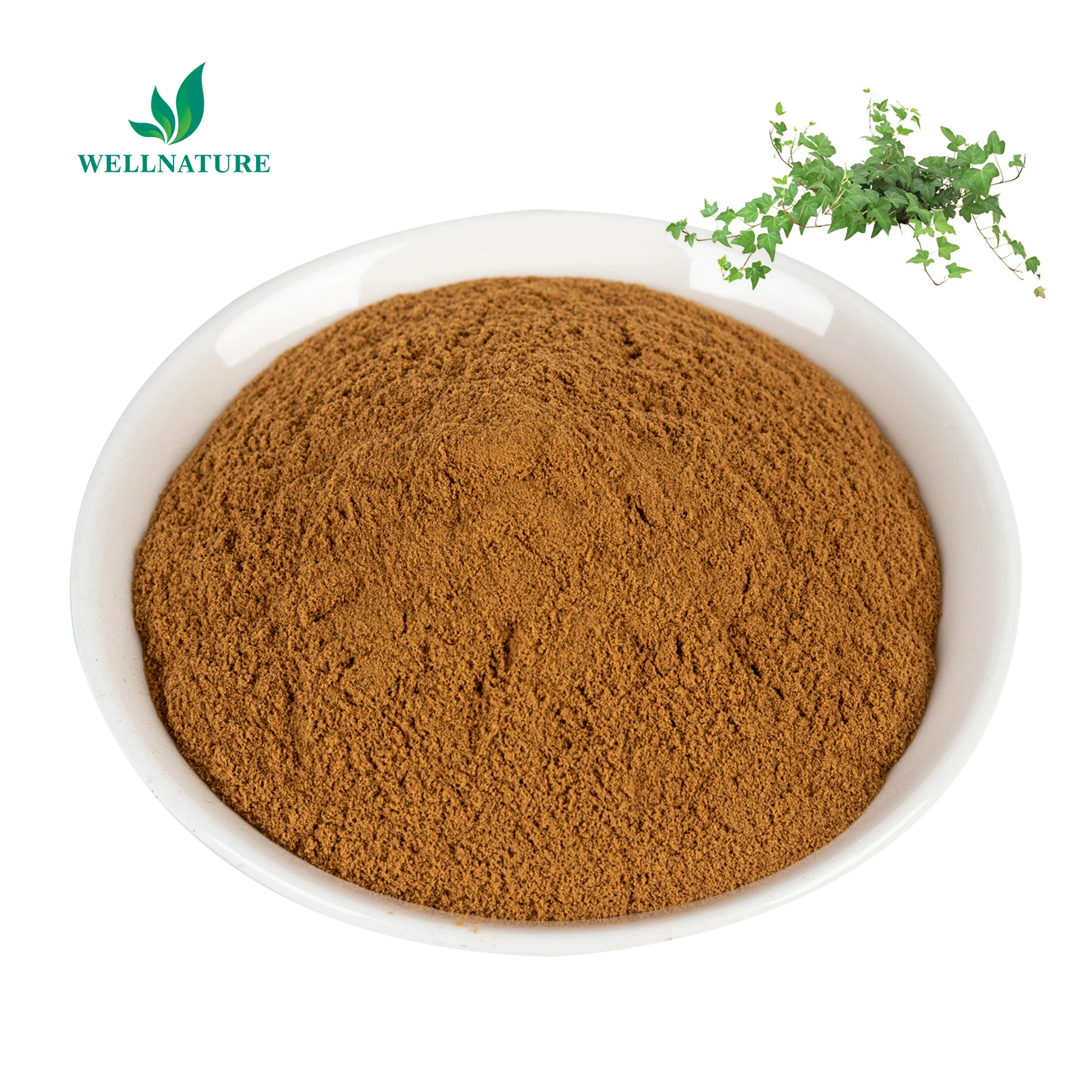 Wellnature vy экстракт листьев порошок гедеракозидный с 3% лист плюща Cas 14216-03-6