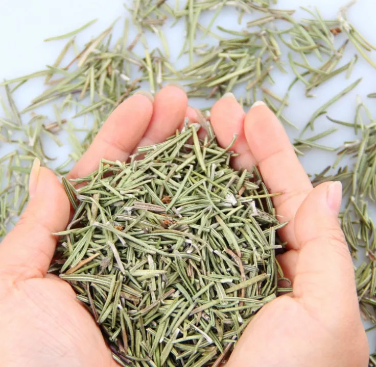 Chinese Factory Supply Food Spicy Herbal Tea Dried Herbs Rosemary  leaves