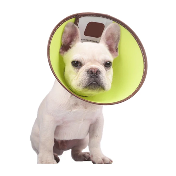 Защитный раны здоровый Исцеление ошейник поводок Елизаветинский