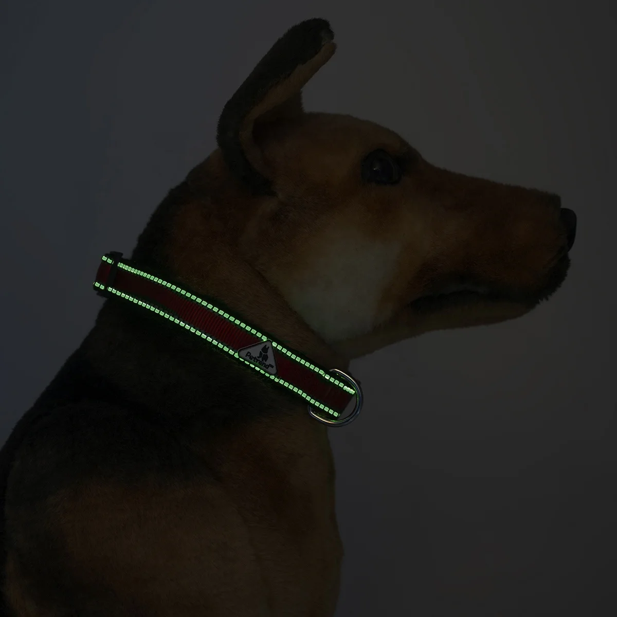 Luminous dog collar
