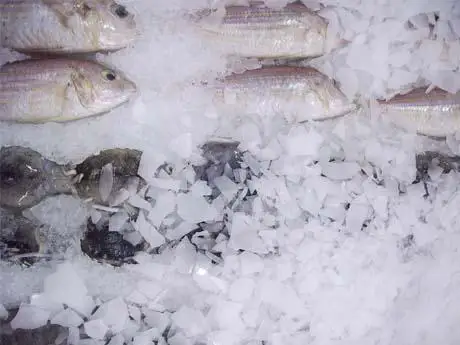 New design industrial 10 tons flake ice machine 10000kg/day flake ice plant good price