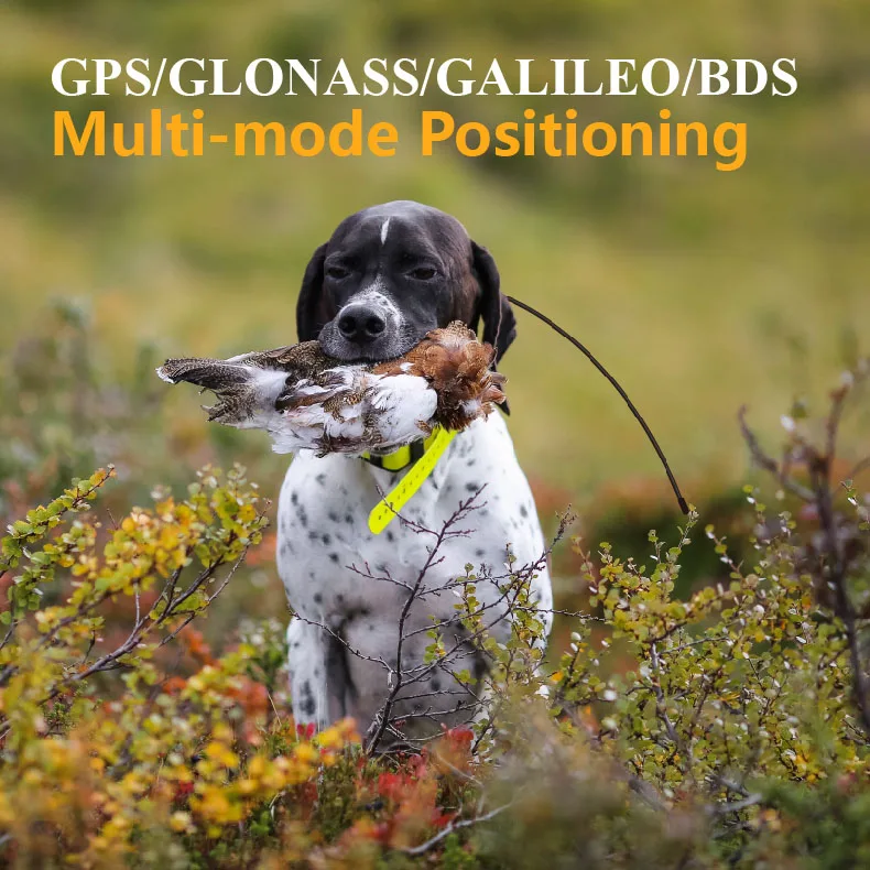 Real-Time Dog GPS Locator | High-Precision Tracker for Active Pets | Reliable & Durable