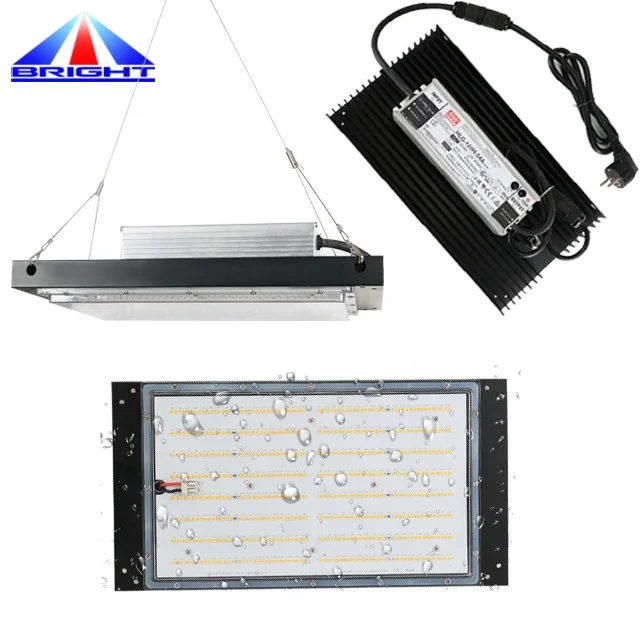 120W MW Driver&Heatsink QB288V2 Plant Grow Light LM301B LM561C LM561H LM301H LED Grow Light