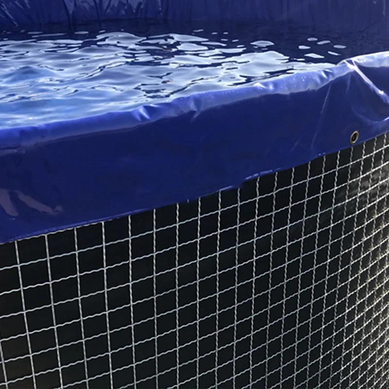 Customized Size Frame aquaponic system lobster pond fish farming equipment with cheap price