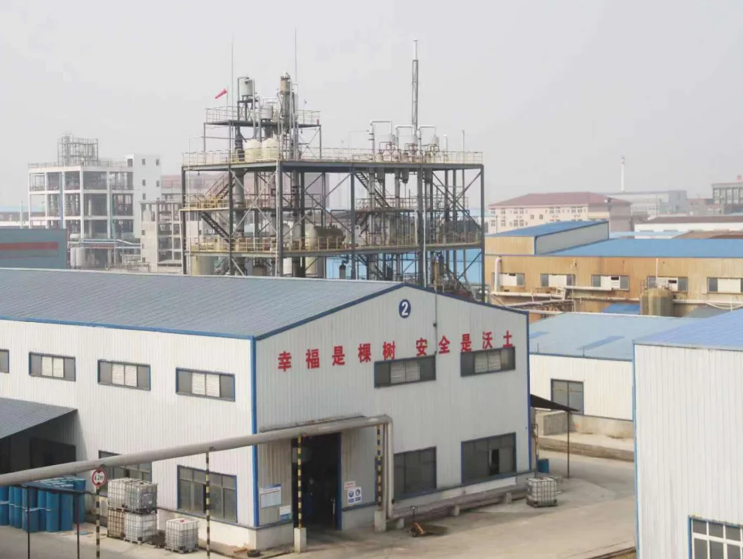 Superior performance silane siloxane water repellent material Silway 744