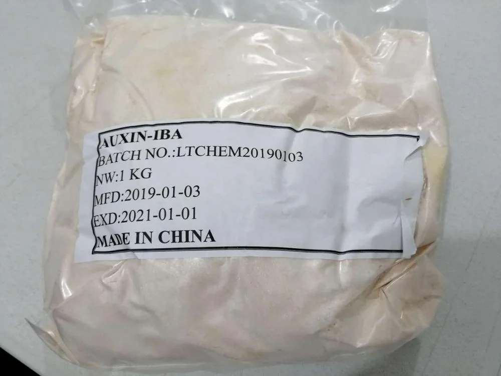 Indole butyric acid 98% TC iba-k iba powder Plant growth regulator for agriculture