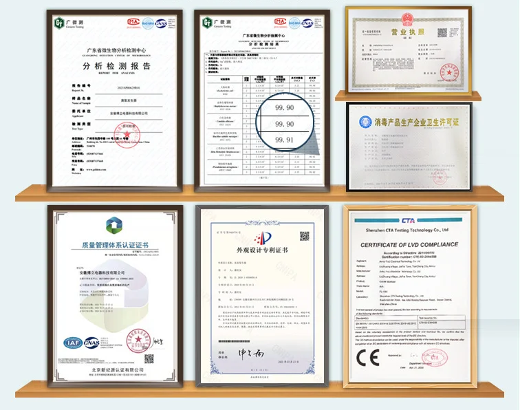 Disinfection Ozonizer For Vegetables And Fruits Ozone Generator
