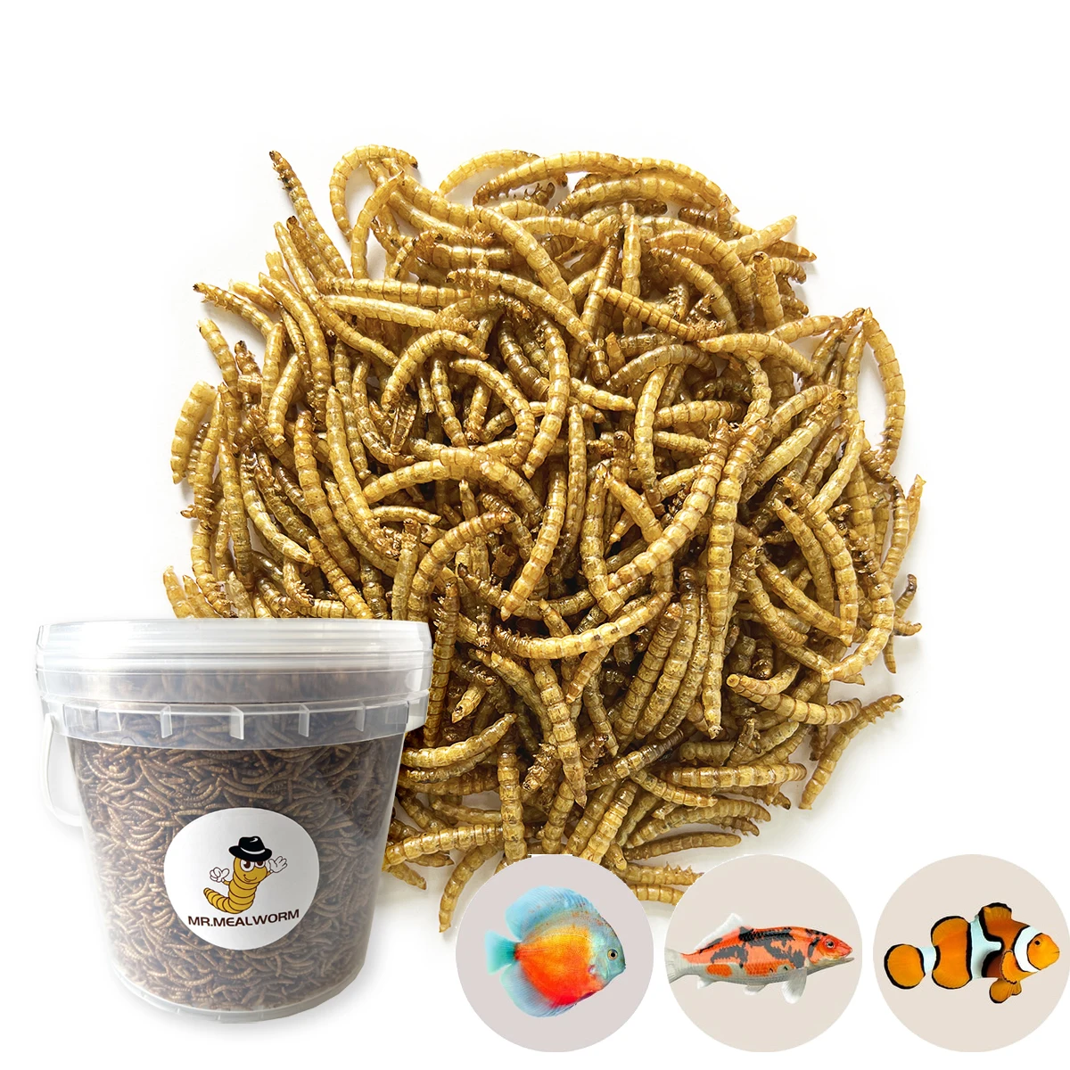 Wholesale High Nutrition Top Grade Pet Food Hamster Food Mealworm Bird Food Dry Mealworms