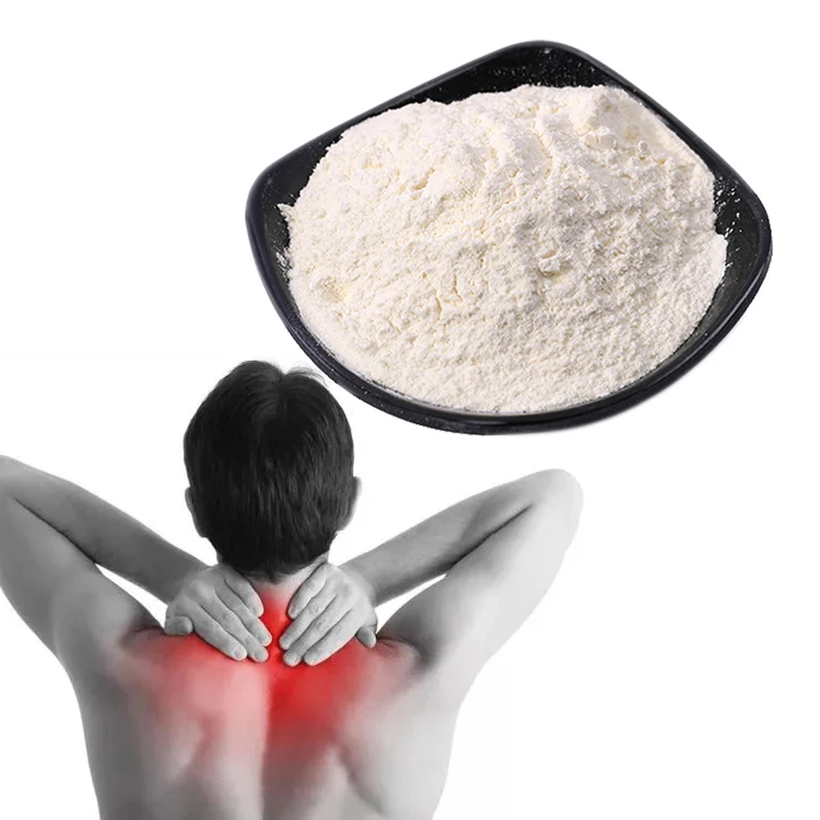 Top Quality Food Grade Marine Chondroitin Sulfate Pure Cas 9082-07-9 Chondroitin Sulfate