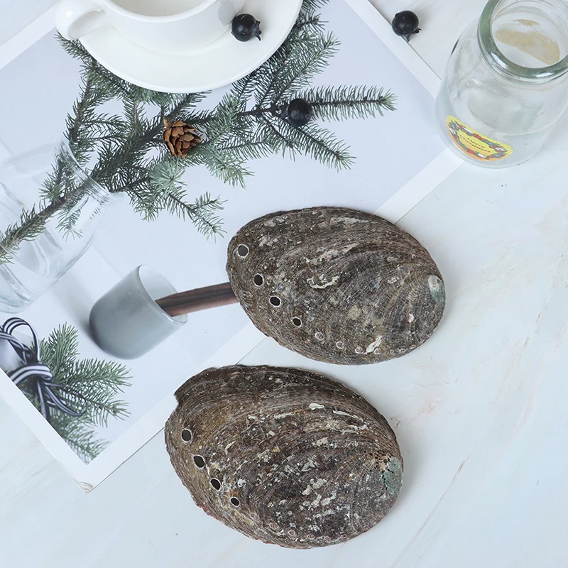 Фабрика Celion оптовая продажа набор для очищения дома растушевки ракушки в