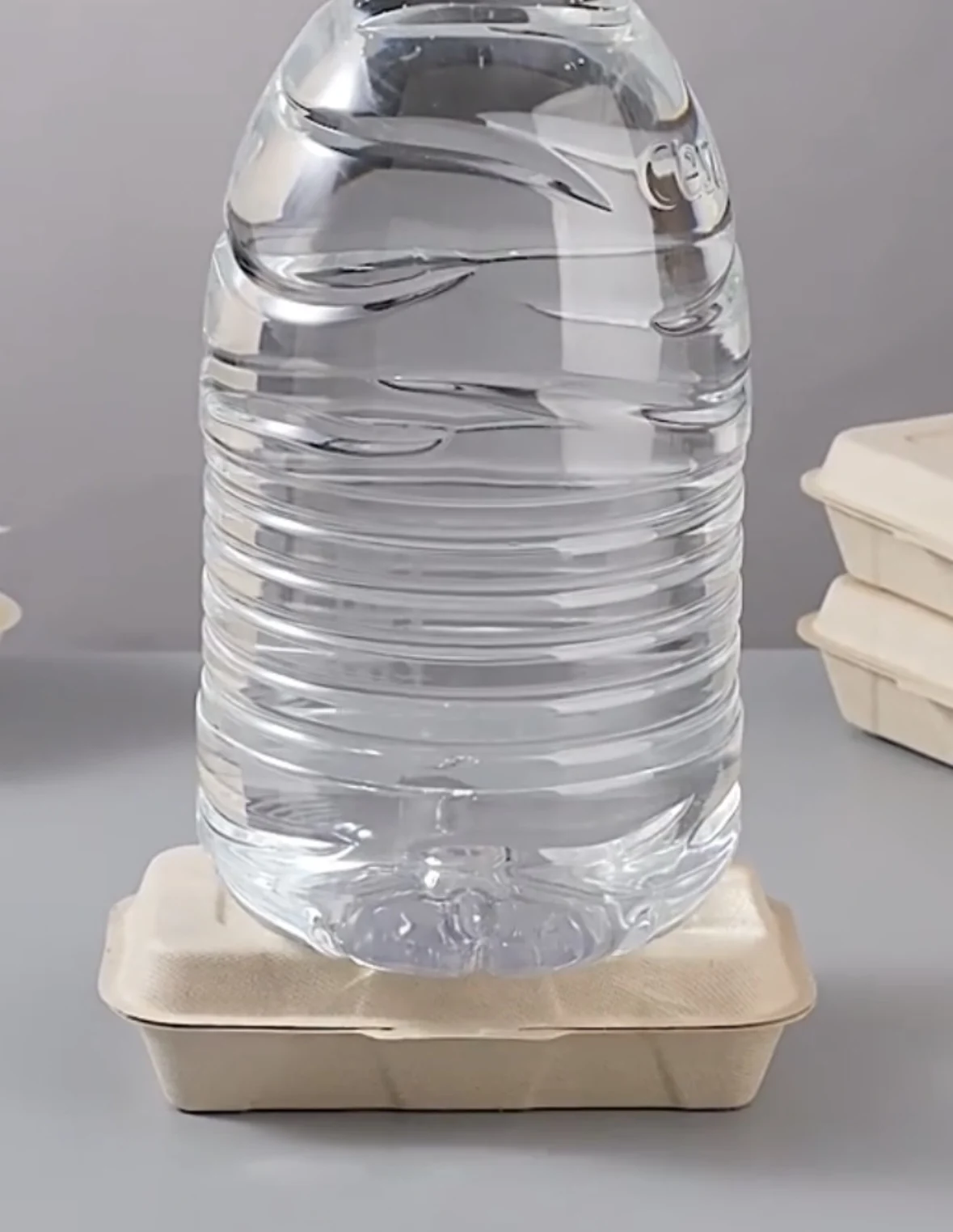 Custom printed disposable paper plates clamshell bagasse sugar cane  packaging bio degradable takeaway food container