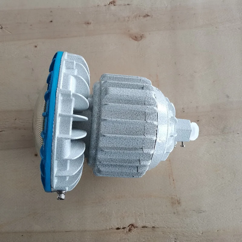 Ex Light 30W Explosion-Proof Wall Light Corrosion Proof Hazardous Explosion-Proof Lights for Lacations