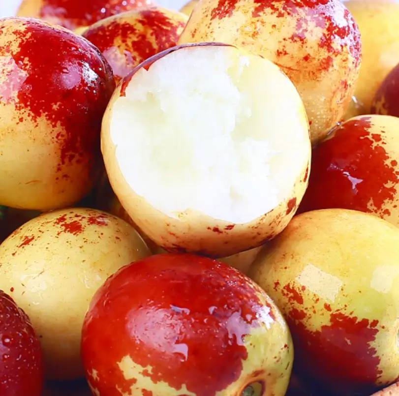 
Organic Fresh Dates Ziziphus Jujube Mill supplied to supermarket 