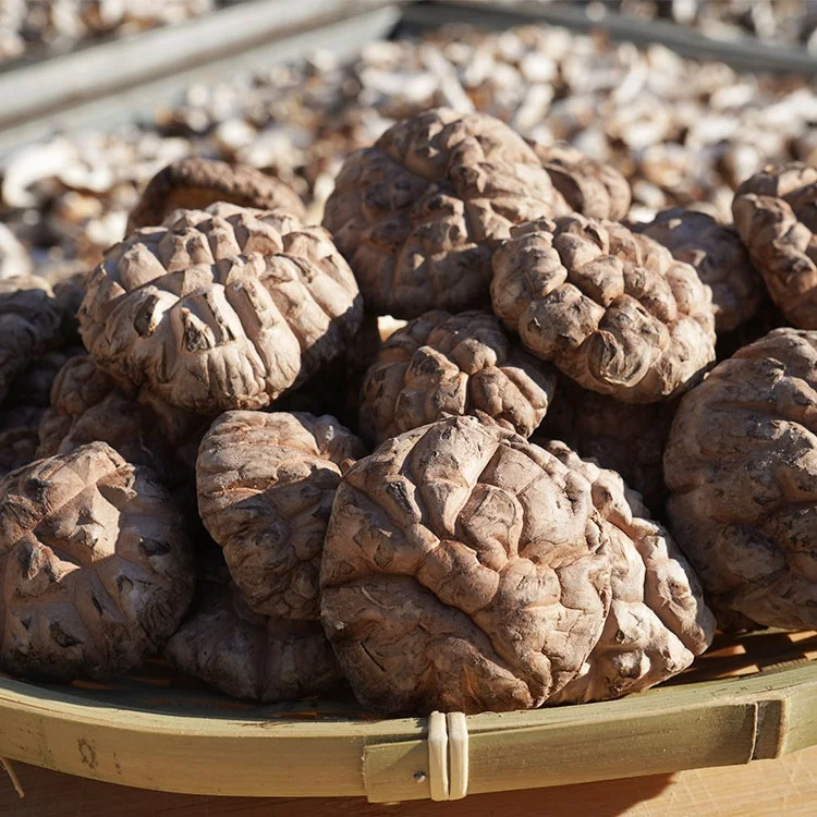 Самые продаваемые товары сушеные волшебные грибы белый или коричневый сушеный гриб шиитаке
