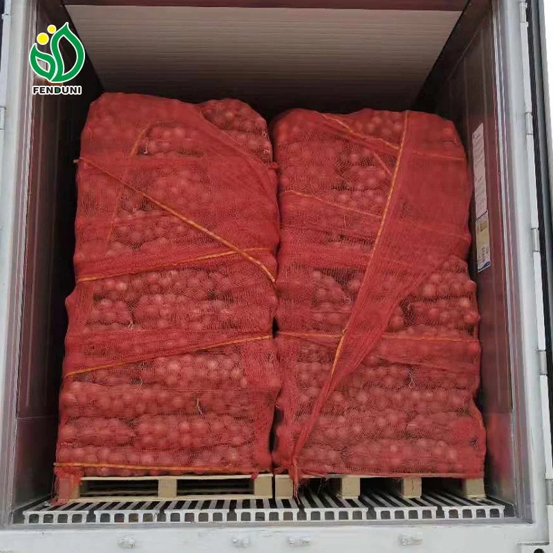 Export China Red Onions 20kg mesh bag 40-60mm