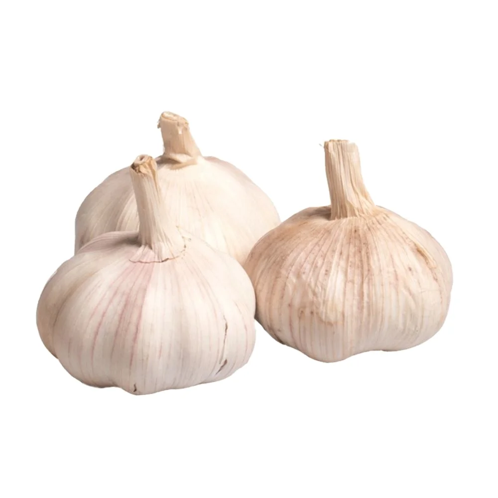 Garlic sold in bulk organically grown garlic Chinese agricultural garlic