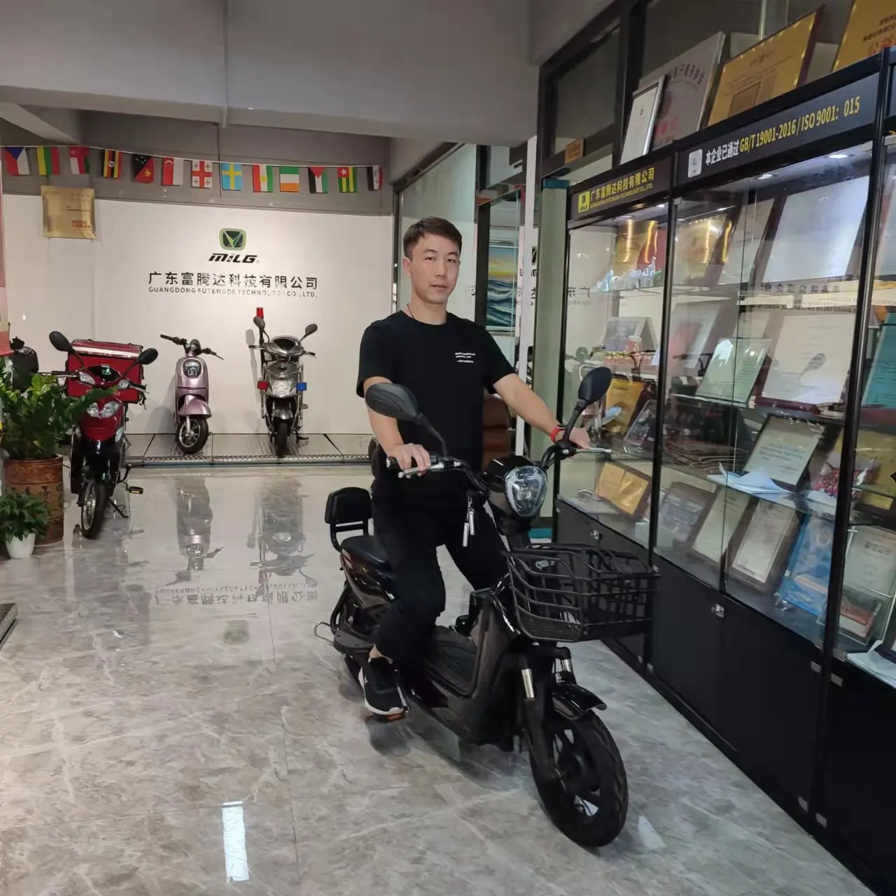 Shenzhen электрический велосипед с аккумулятором на колесах для электрического велосипеда 14 дюймов корзиной домашних животных