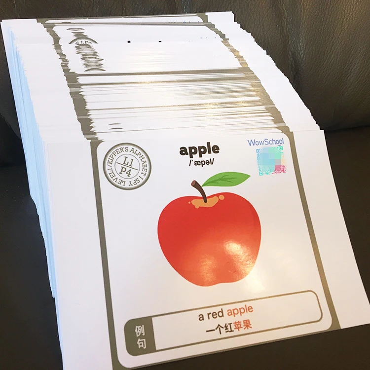 Factory Wholesale Custom Printing Learning Flash Card For Children