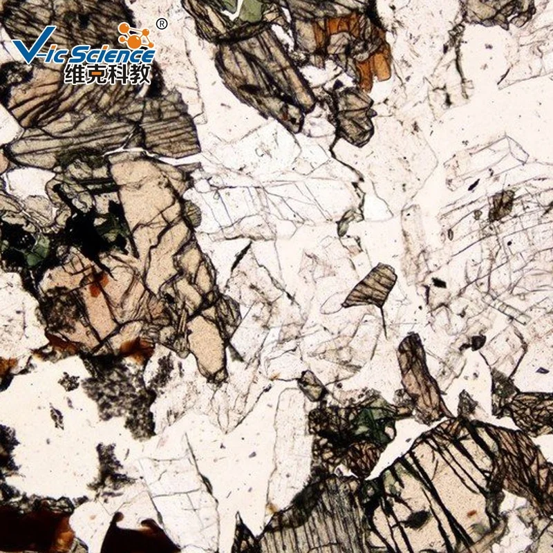 Professional thin section of rocks 24pcs set Microscope prepared slide