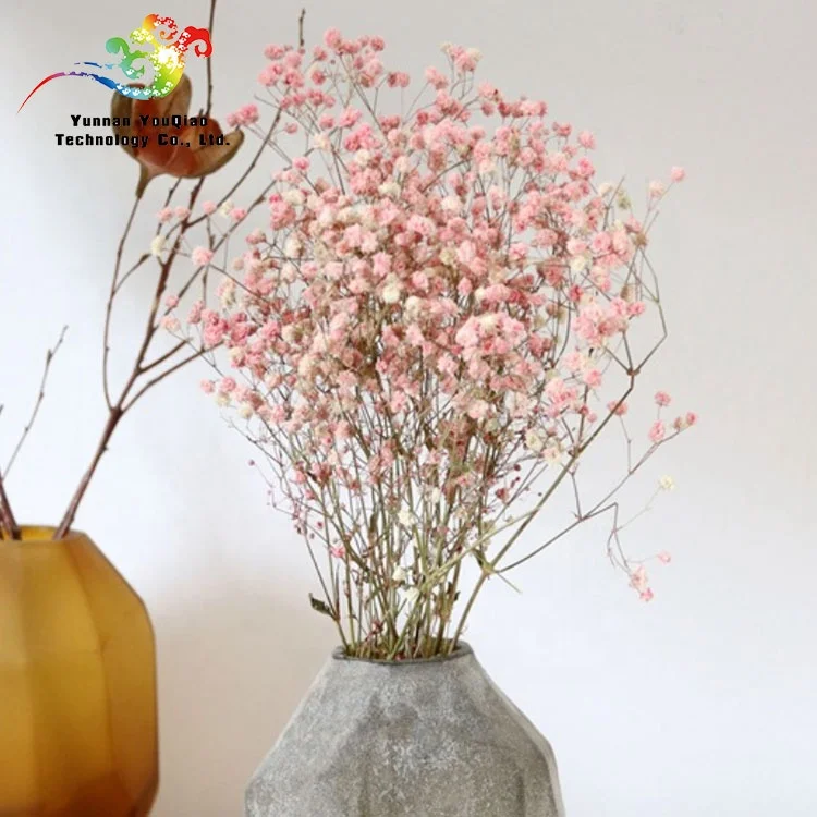  2020 Новое поступление сушеных консервированных гипсофил детский цветок на дыхание 30-40 см для подарков день Святого Валентина и украшения дома офиса