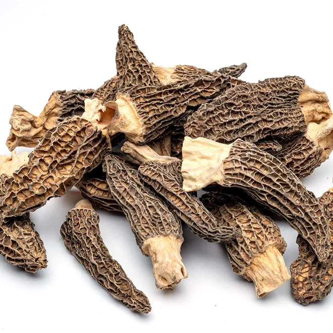 Preferential Price Morels High Quality Cultivated Morille Mushrooms Vegan Dried Morels Mushroom