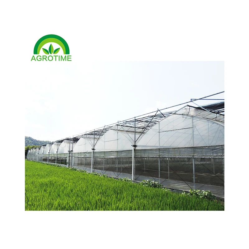 Low cost tropical greenhouse with top vent US strawberry green house multi-span poly tunnel greenhouses large area