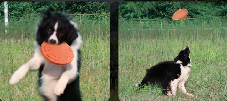 Pet Dog Training Soft Frisbeed Toy Flying Disc Fetch Silicone Fun Toy