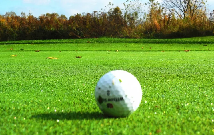 sports facility outdoor putting green grass PE mini golf field turf