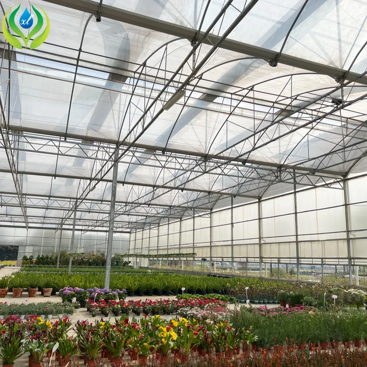 MYXL green house  uv plastic polycarbonate sheet panel greenhouse structure