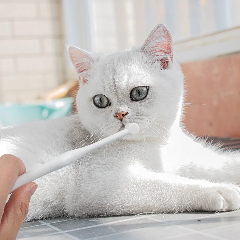 Factory Wholesale Blister Card Packaging Plastic Small Soft Pet 10000 Tooth Brush Dog Cat Toothbrush