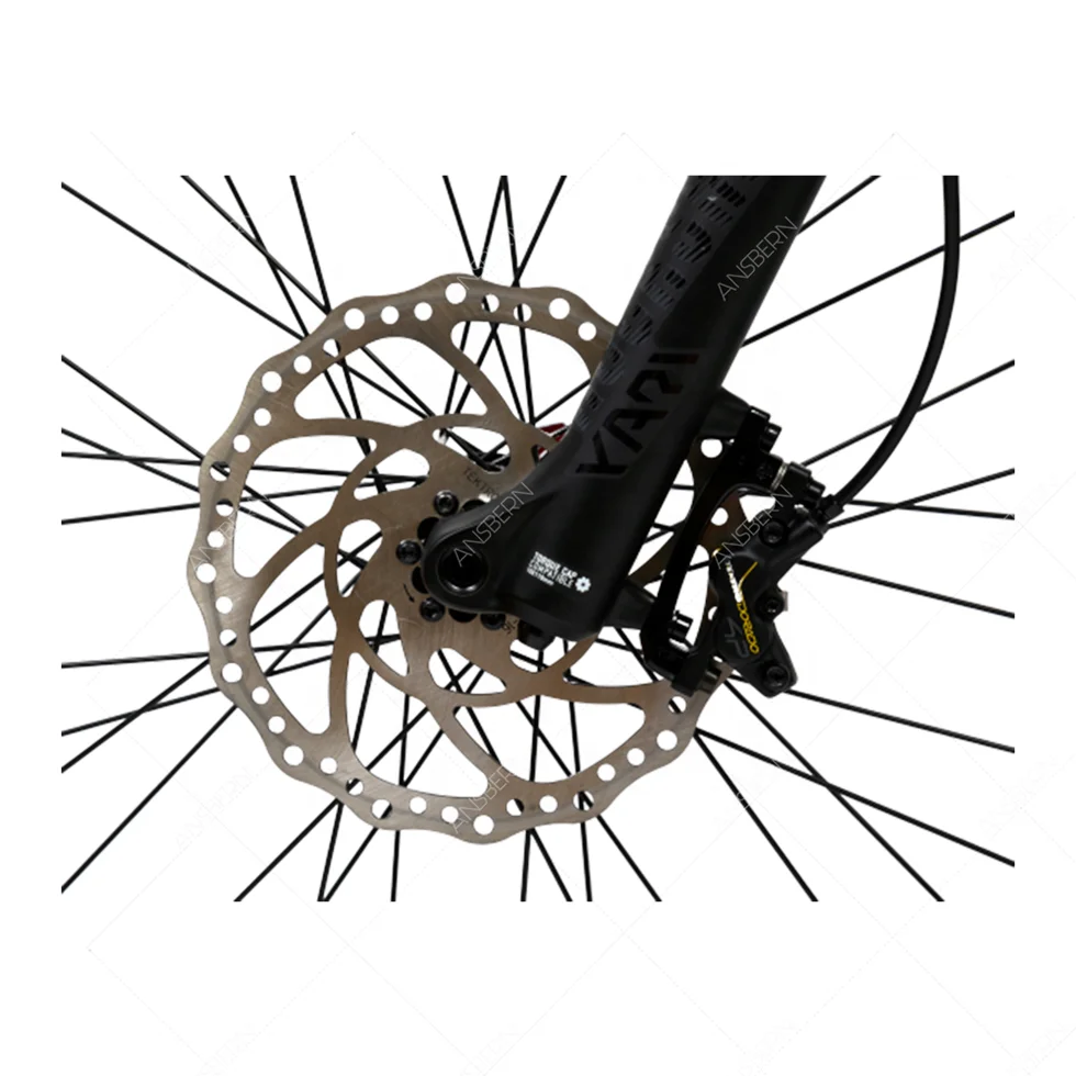 Ansbern New Arrivals Bafang MM G510 1000W 48v 17Ah Full Suspension Electric Sport Bike For Adults Two Wheels