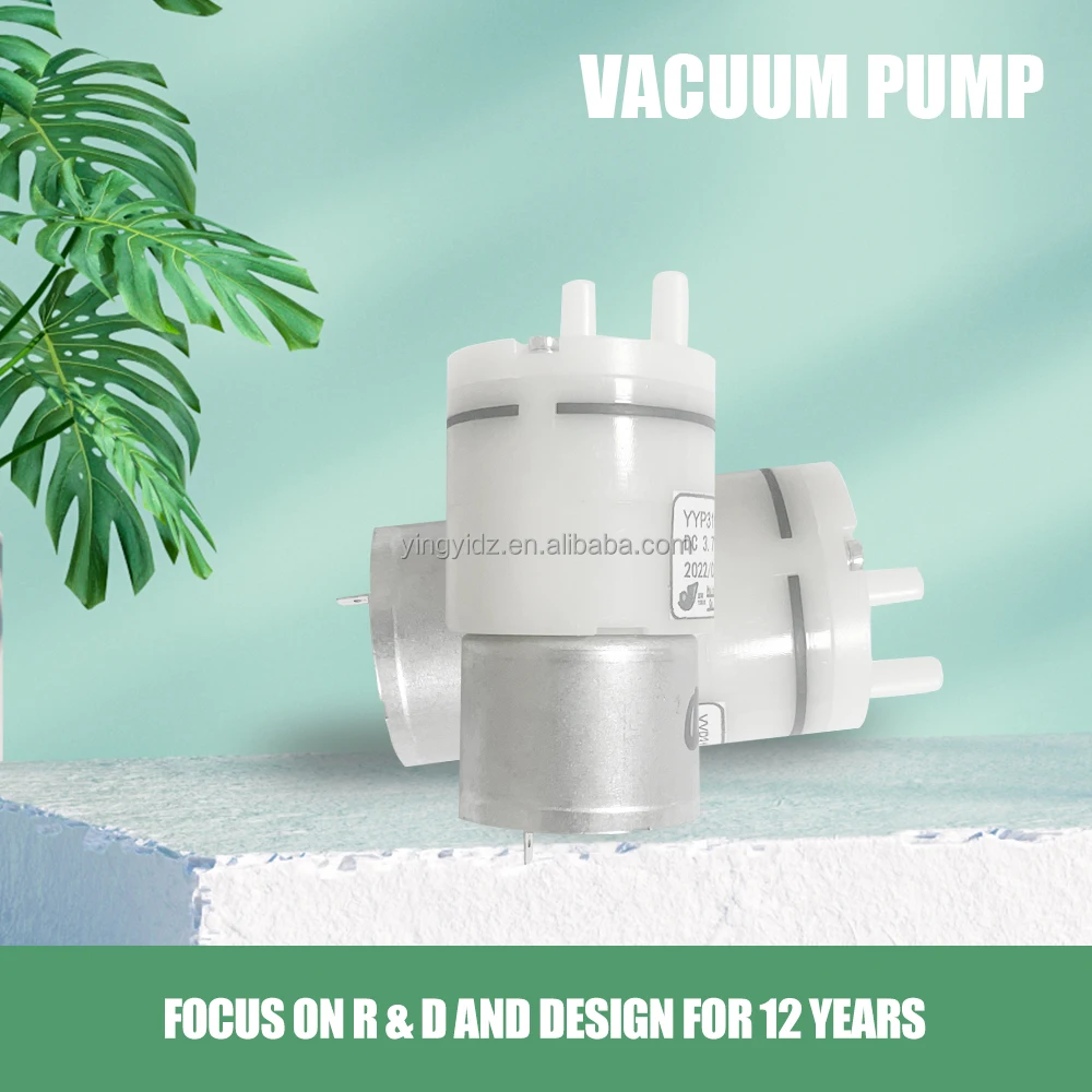 Micro Dc Automatic Low Pressure Industrial Double Stage Circulating Water Liquid Ring Vacuum Pumps for Vacuum packaging machine