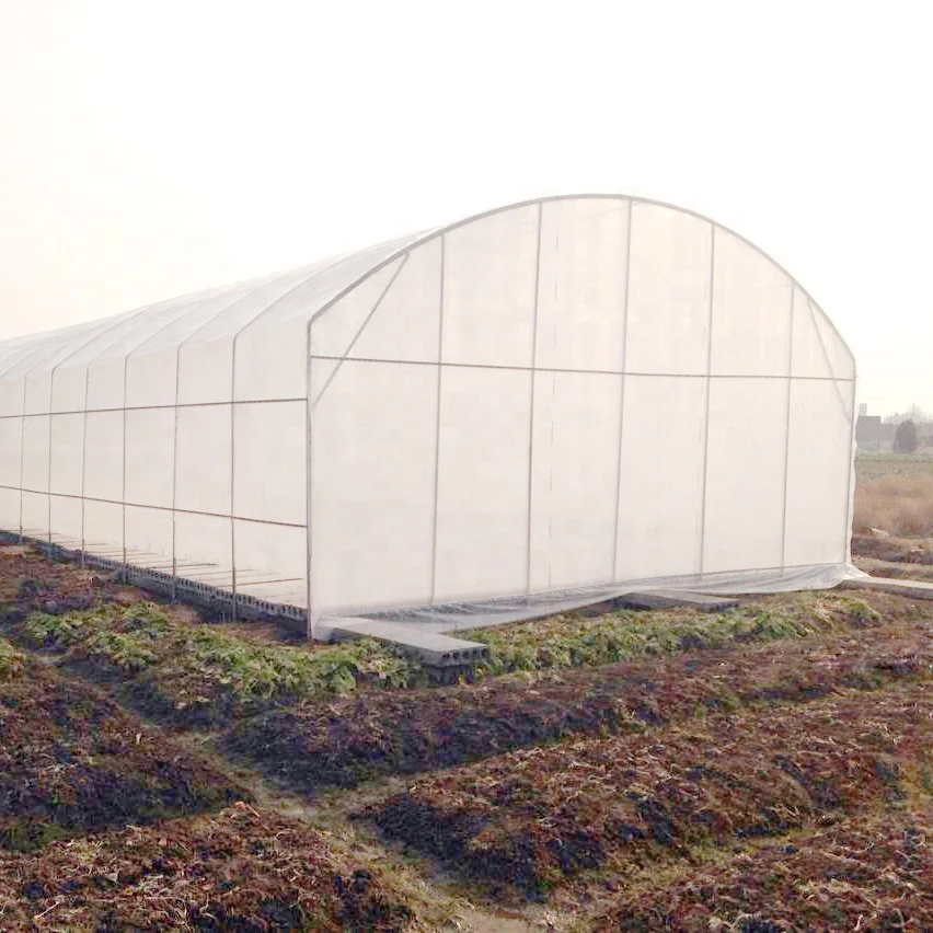 PVC NFT Gutter Hydroponics Strawberries Gully System For Growing Strawberry In Commercial Greenhouse