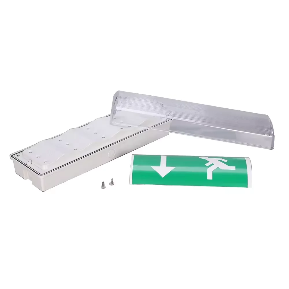 High Luminous Flux&Efficacy rechargeable luz de emergencia led with factory price CE&RoHS Certified
