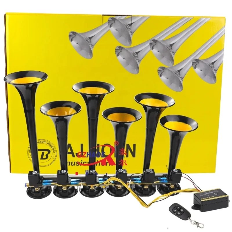 high quality 24v Air Horn Trumpet /Air Horn Compressor 24V for Car 6pipe more 20 sound