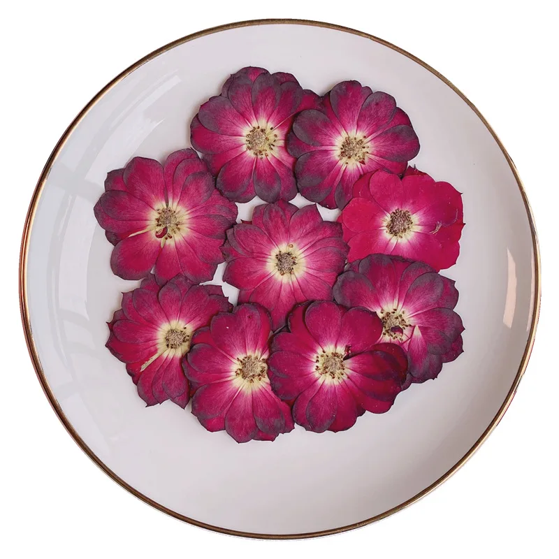 hot sale diy resin nails art natural real dried pressed flowers rose