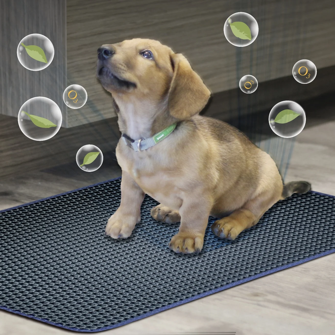 
Hot Sell Puppy Dog Training Pet Toilet Tray Pee Pads 