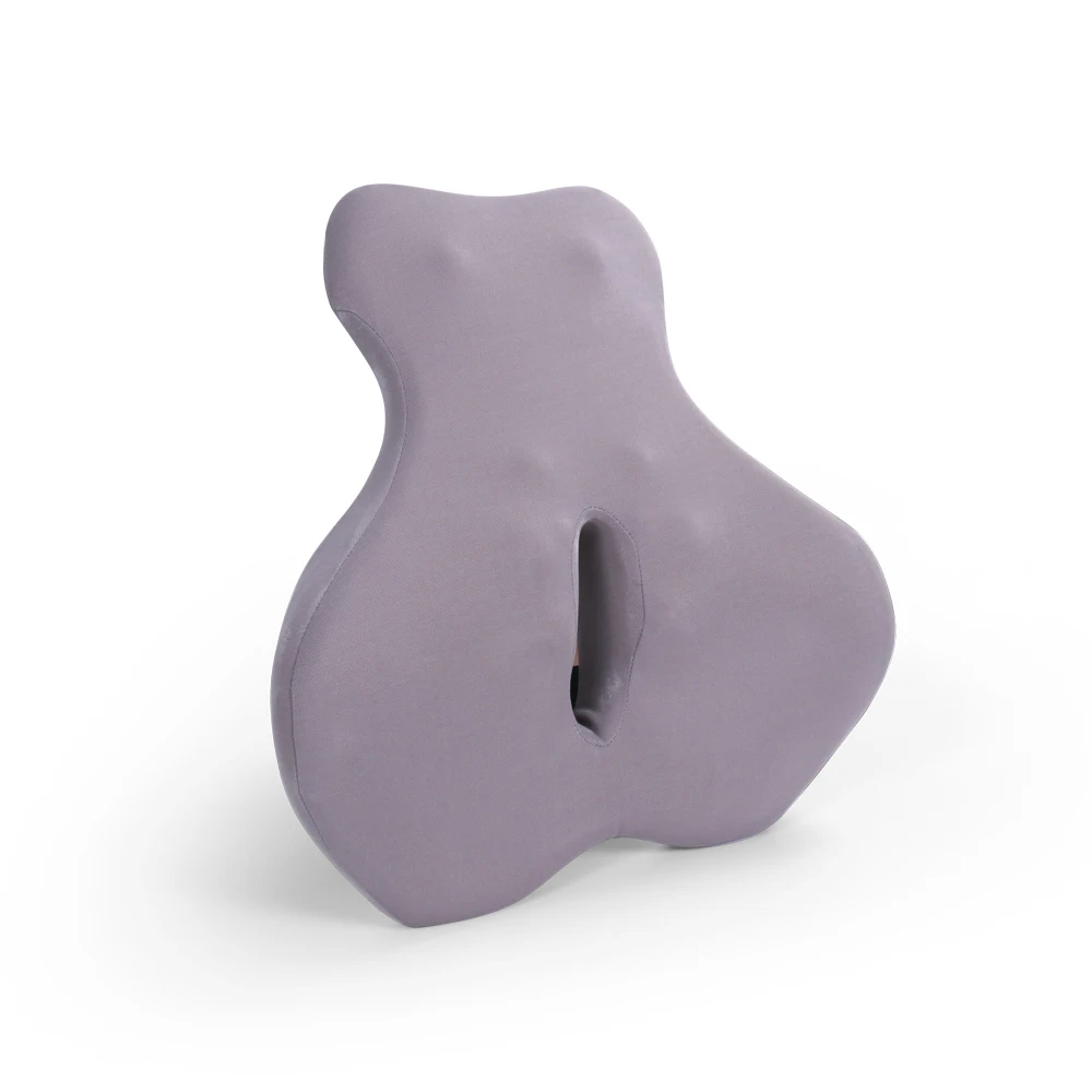 JTY Ergonomic Design Wholesale Of New Features High Quality Lumbar Support With Lower Price
