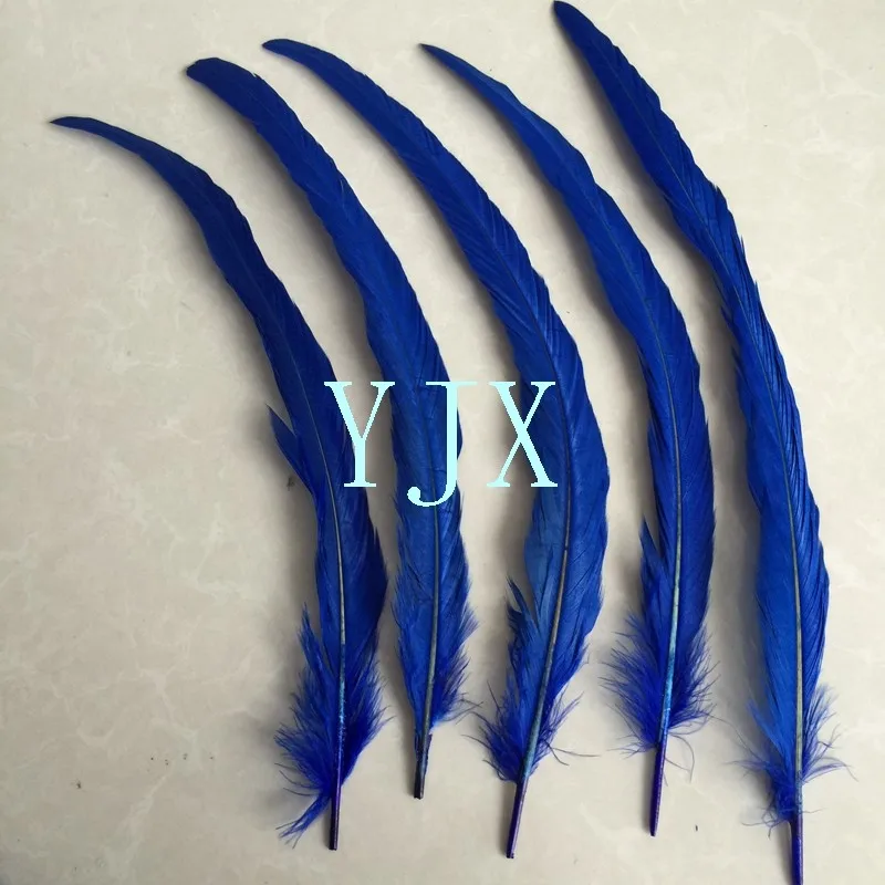 Hot sale DIY dyed colored 30-35cm rooster tail feather chicken feather for Decorations