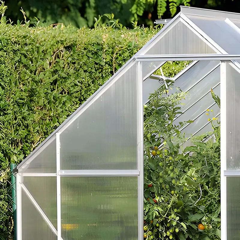 multi-wall polycarbonate hollow sheet and PC hollow panels green house twin wall hollow polycarbonate sheet
